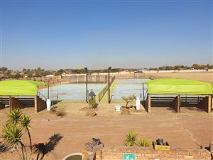 8.7 ha Farm in Grootvlei AH
