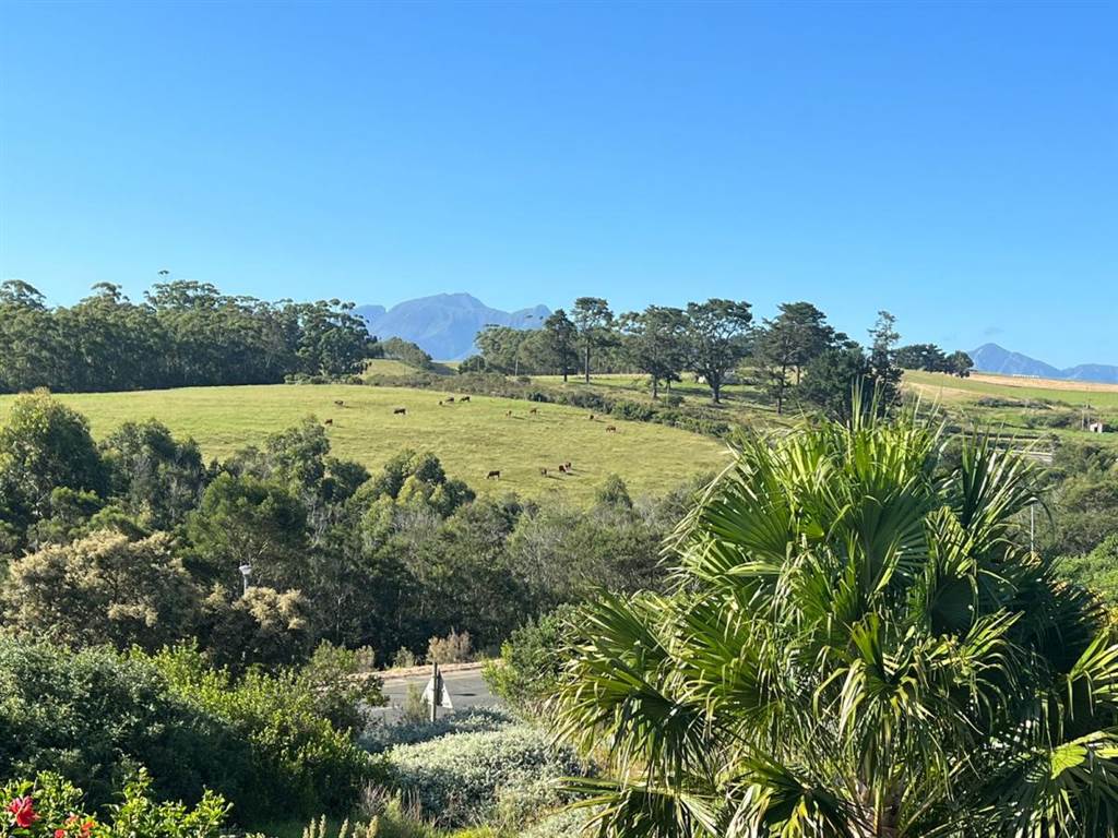 660 m² Land available in Herolds Bay photo number 4