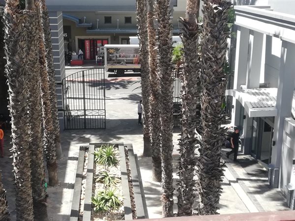 Bachelor apartment in Cape Town City Centre