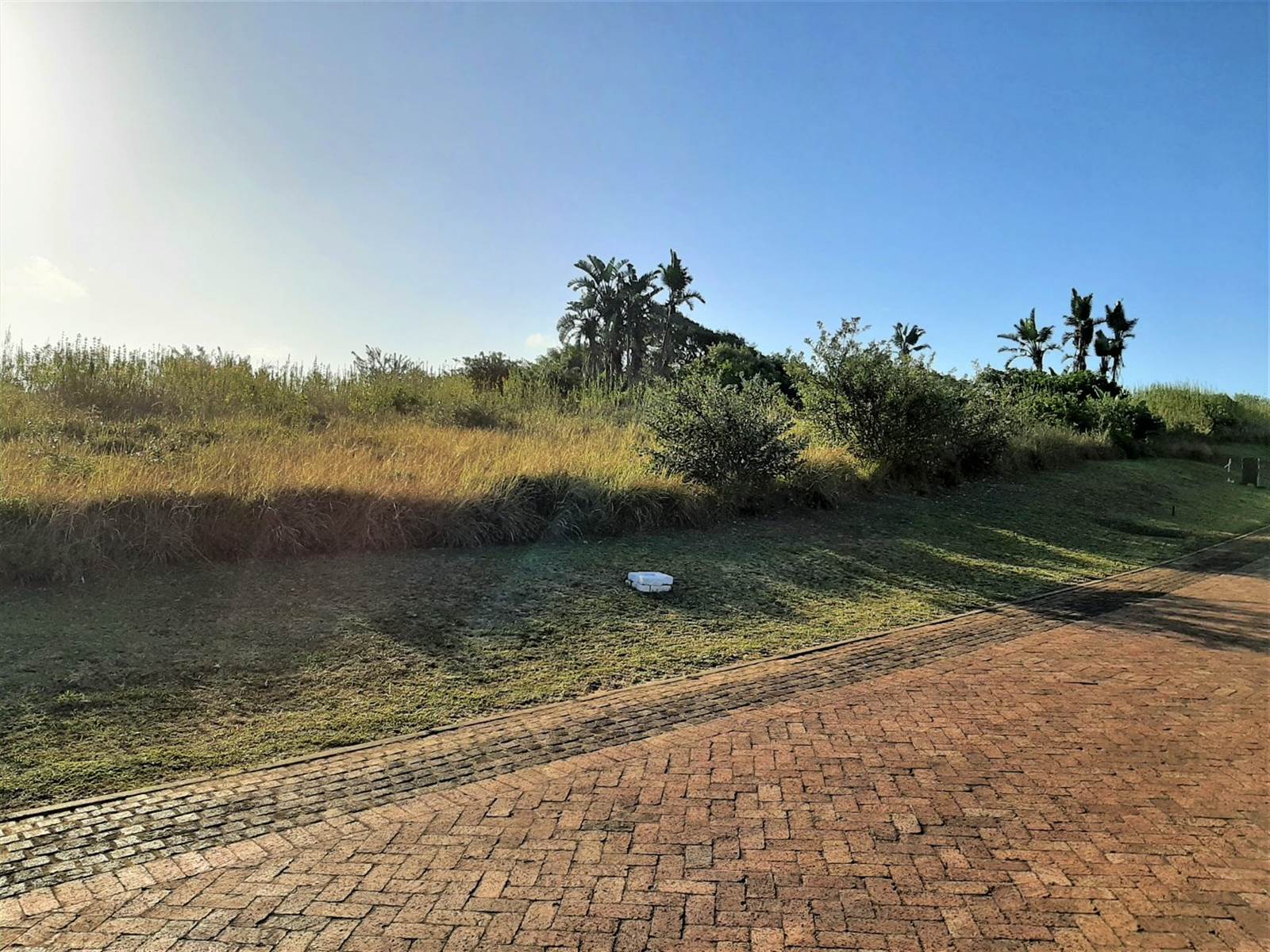 1579 m² Land available in Port Edward photo number 4