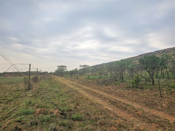 4.2 ha Land 4.2 ha Land