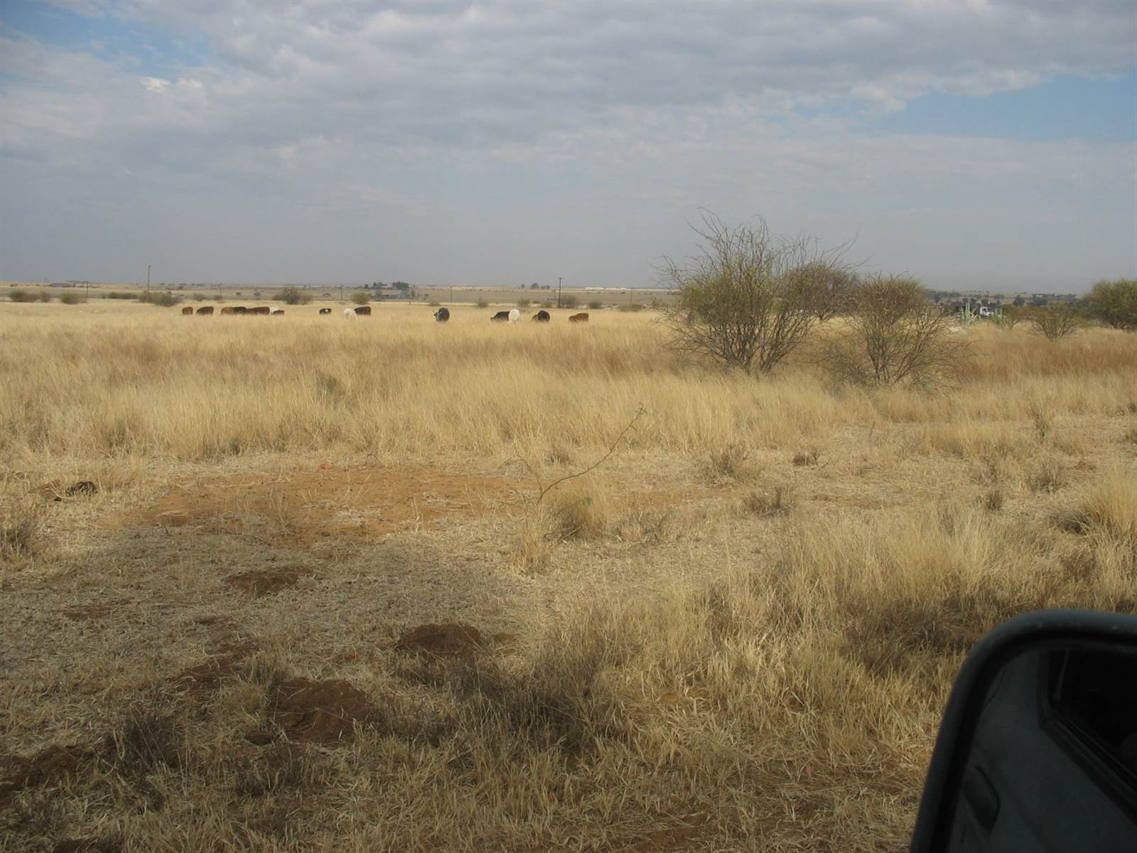 1 ha Land available in Bloemfontein Farms photo number 3