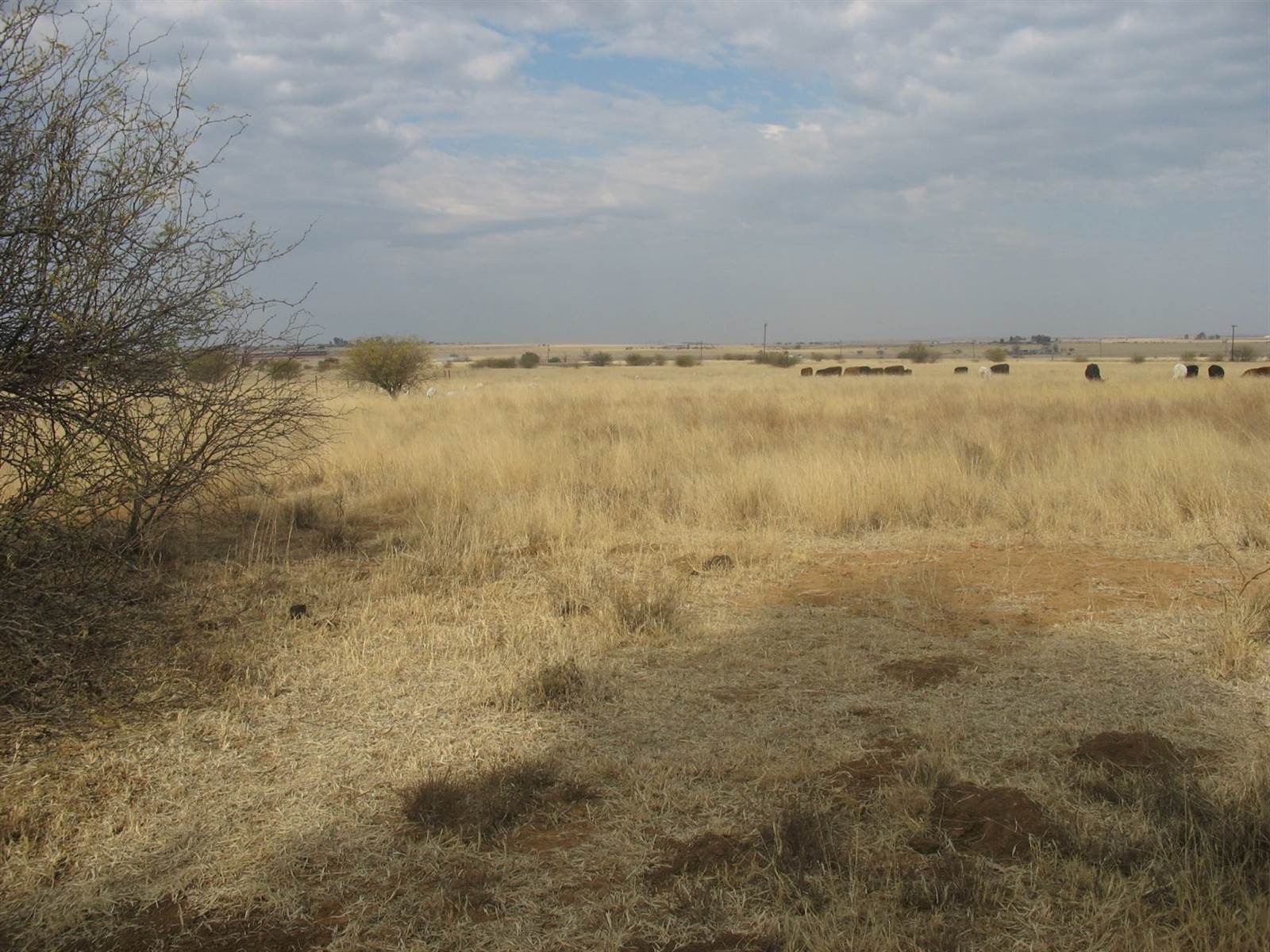 1 ha Land available in Bloemfontein Farms photo number 1