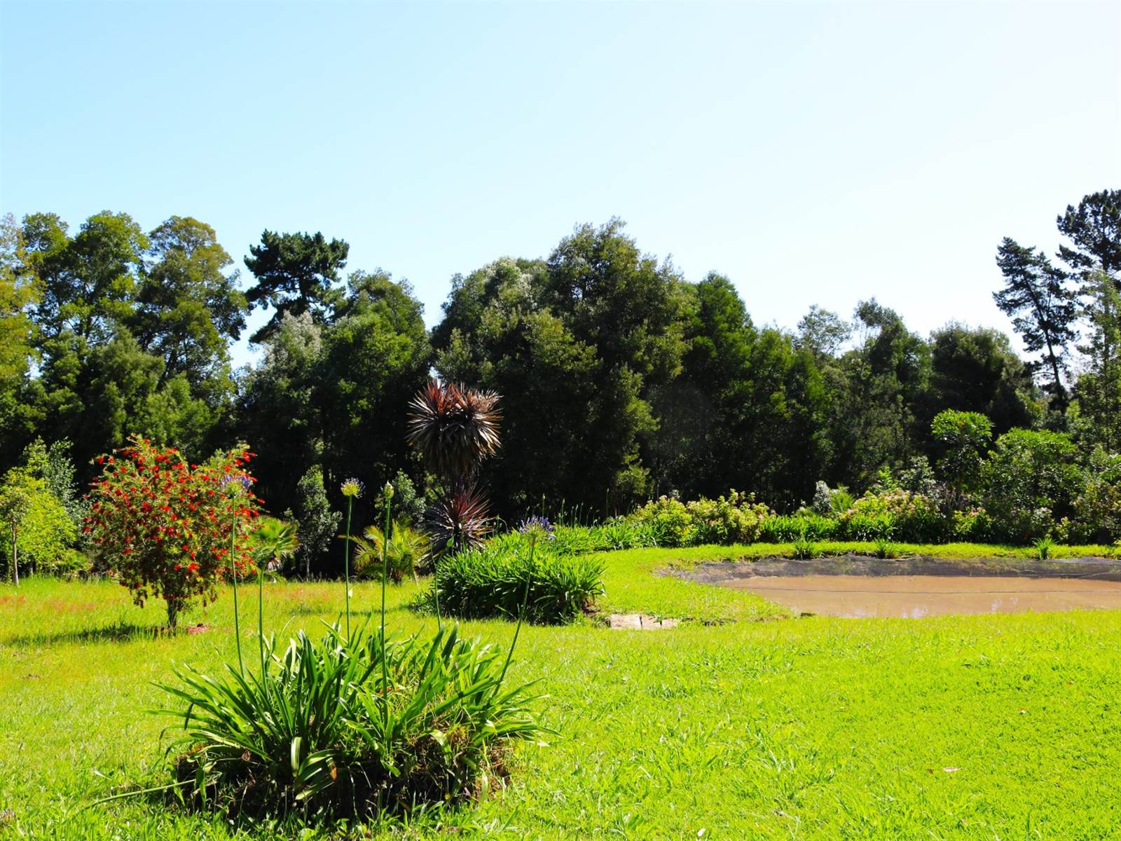 4 m² Farm in Knysna Central photo number 5