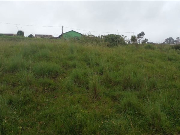 311 m² Land