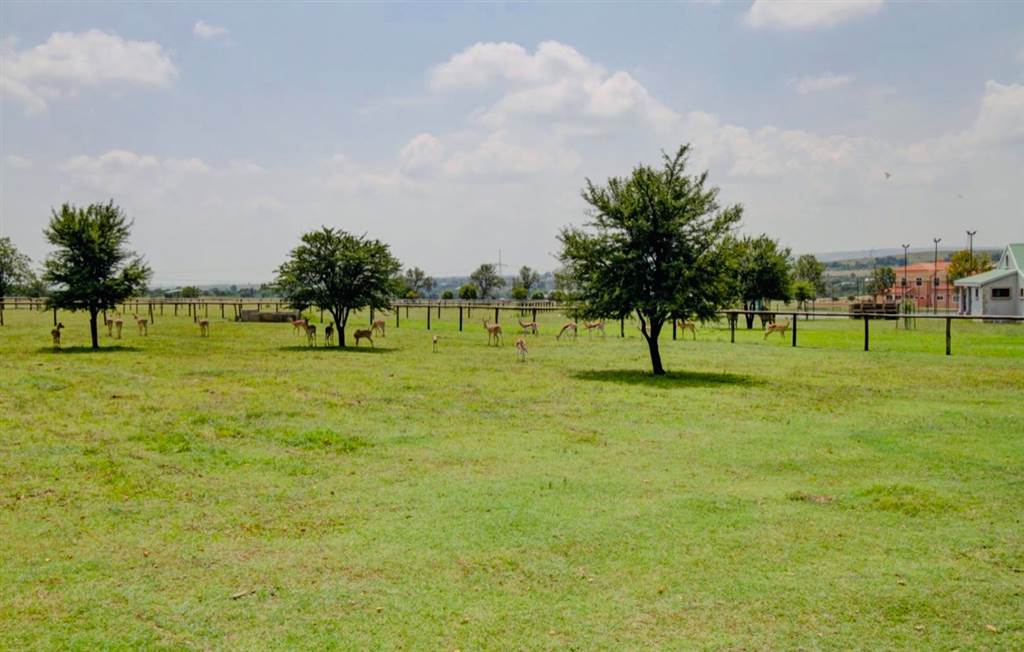 1030 m² Land available in Boschkop photo number 13