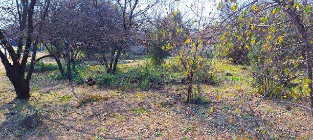 893 m² Land available in Ifafi photo number 4