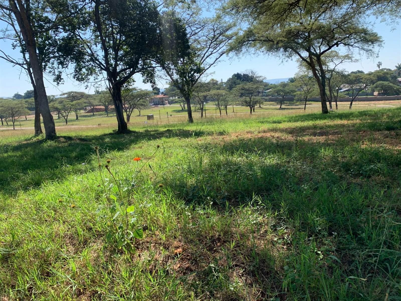 604 m² Land available in Tzaneen photo number 3