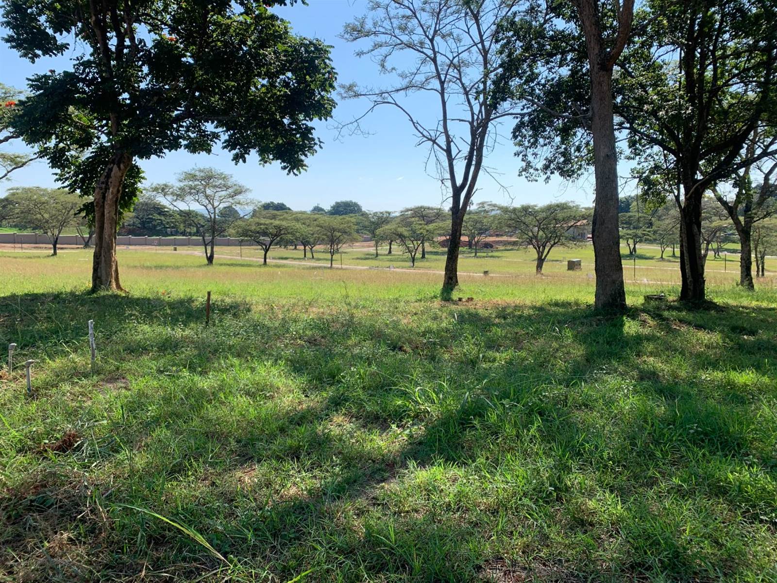604 m² Land available in Tzaneen photo number 4