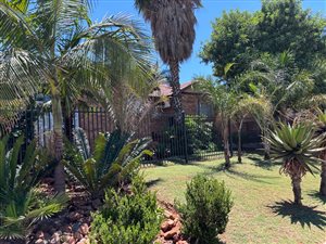 3 Bed House in Bergtuin