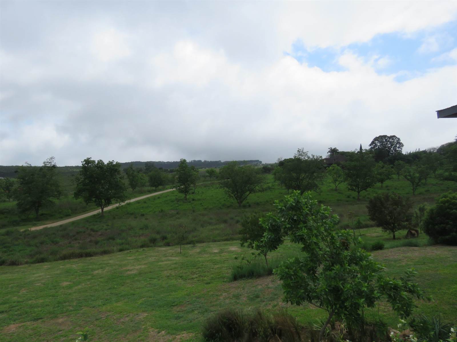 9900 m² Land available in White River photo number 4