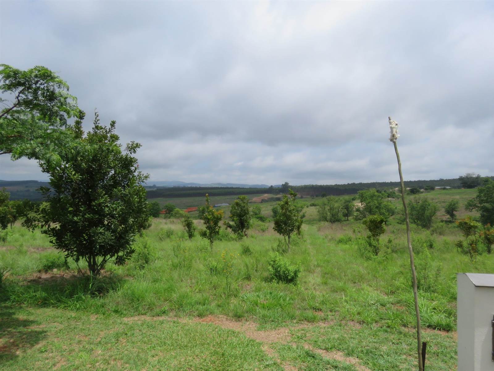 9900 m² Land available in White River photo number 3
