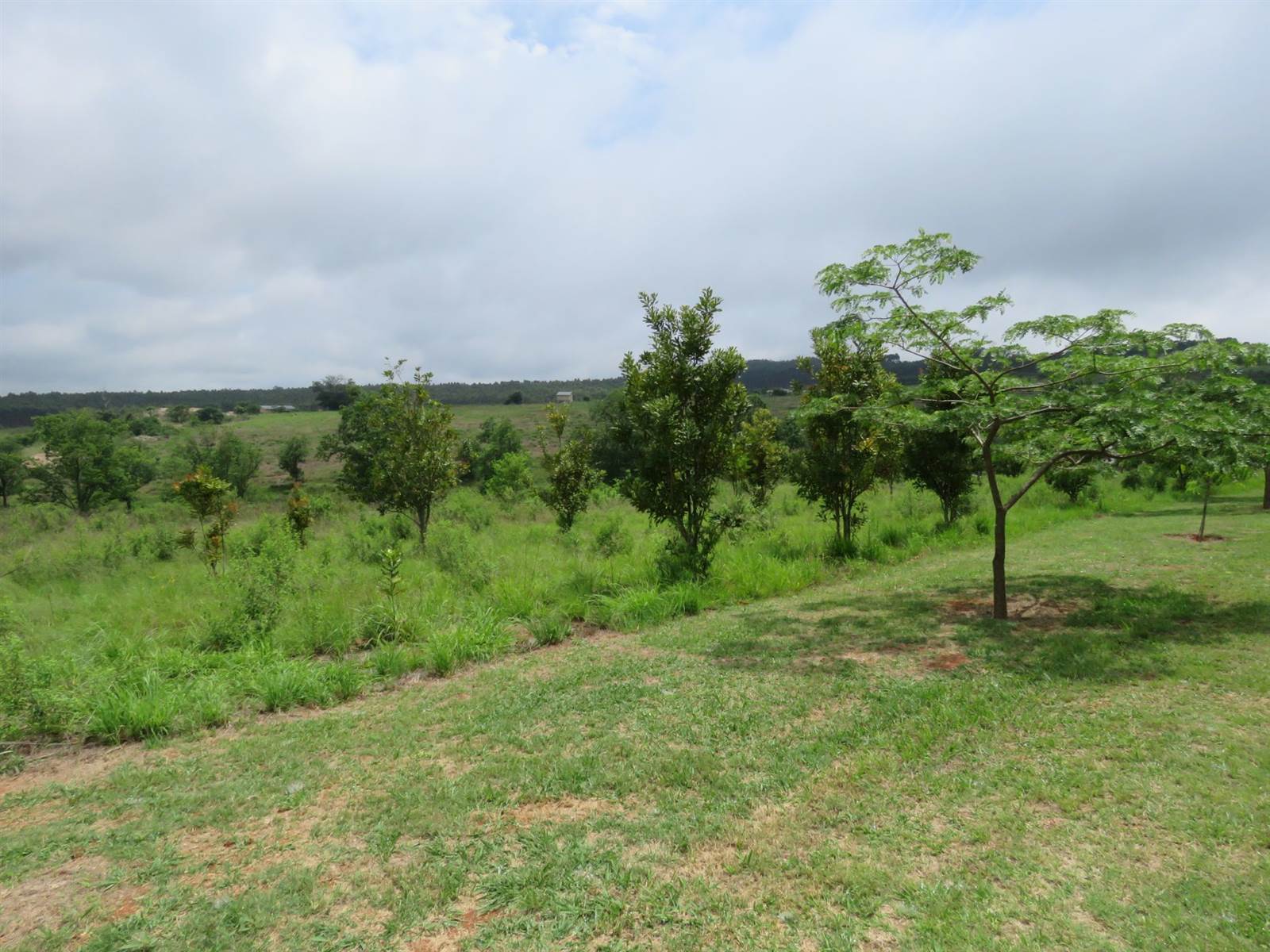 9900 m² Land available in White River photo number 7