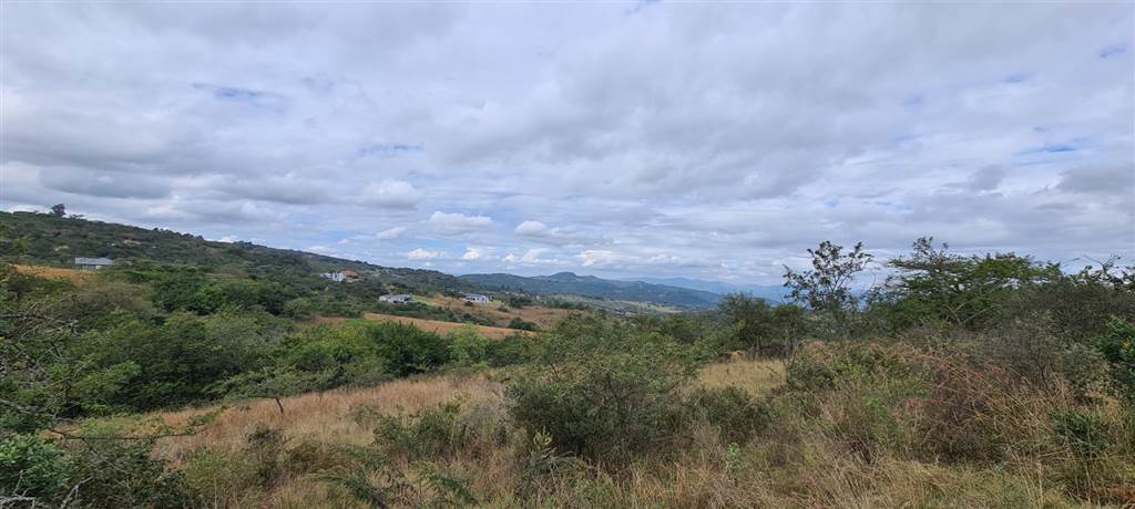 1 ha Land available in Wild Fig Estate photo number 1