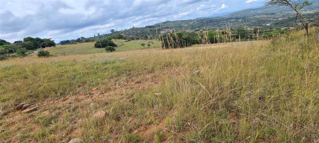 1 ha Land available in Wild Fig Estate photo number 13