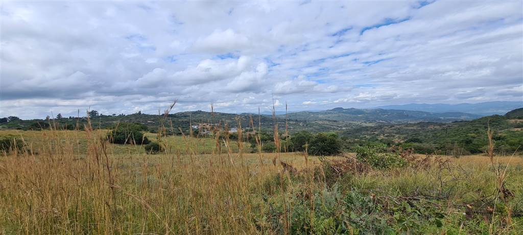 1 ha Land available in Wild Fig Estate photo number 14