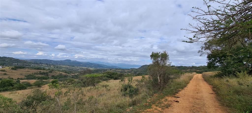 1 ha Land available in Wild Fig Estate photo number 7