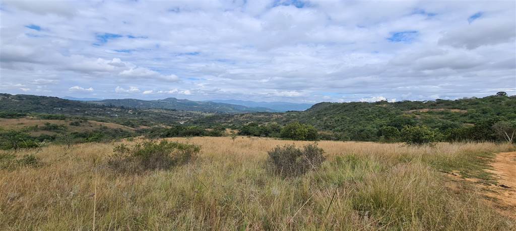 1 ha Land available in Wild Fig Estate photo number 8