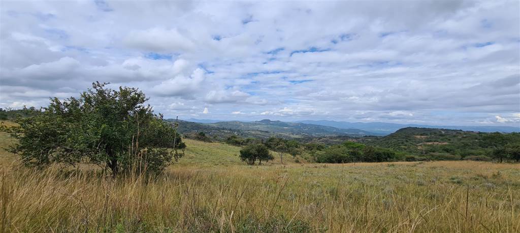 1 ha Land available in Wild Fig Estate photo number 15