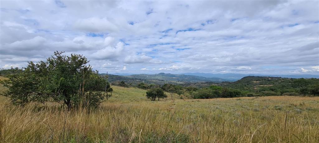 1 ha Land available in Wild Fig Estate photo number 16