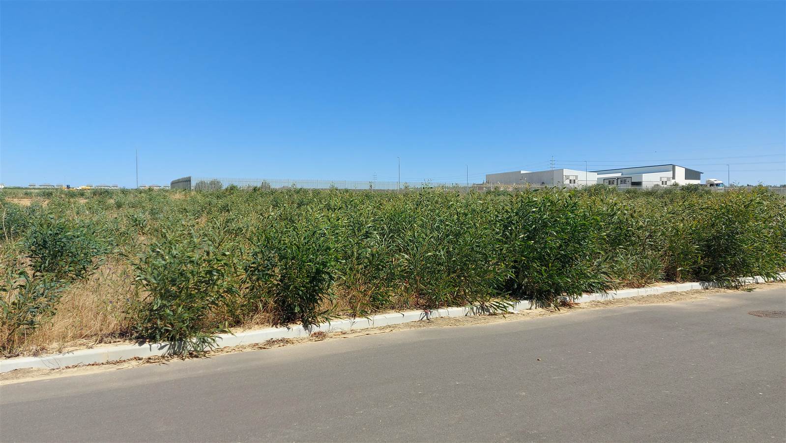 1473 m² Land available in Milnerton photo number 3