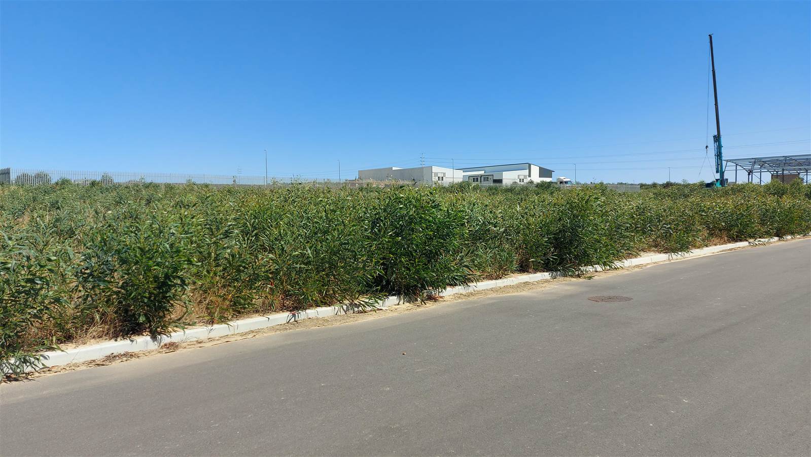 1473 m² Land available in Milnerton photo number 2