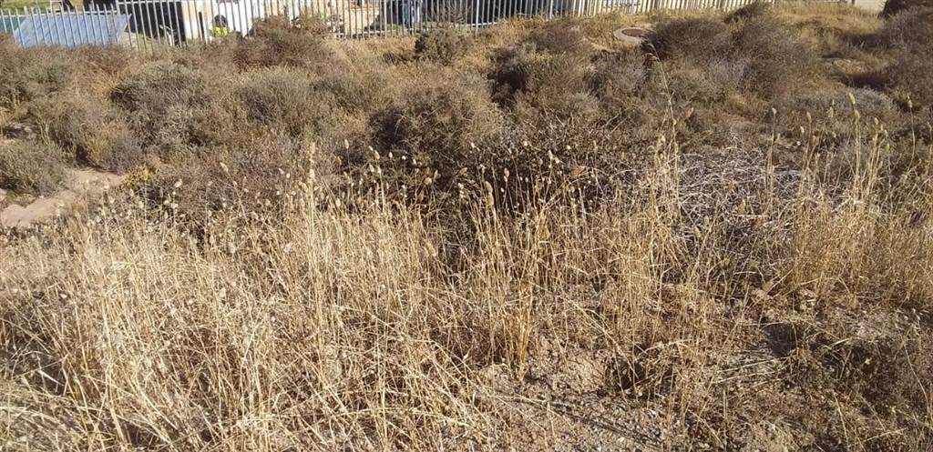 266 m² Land available in Saldanha photo number 4