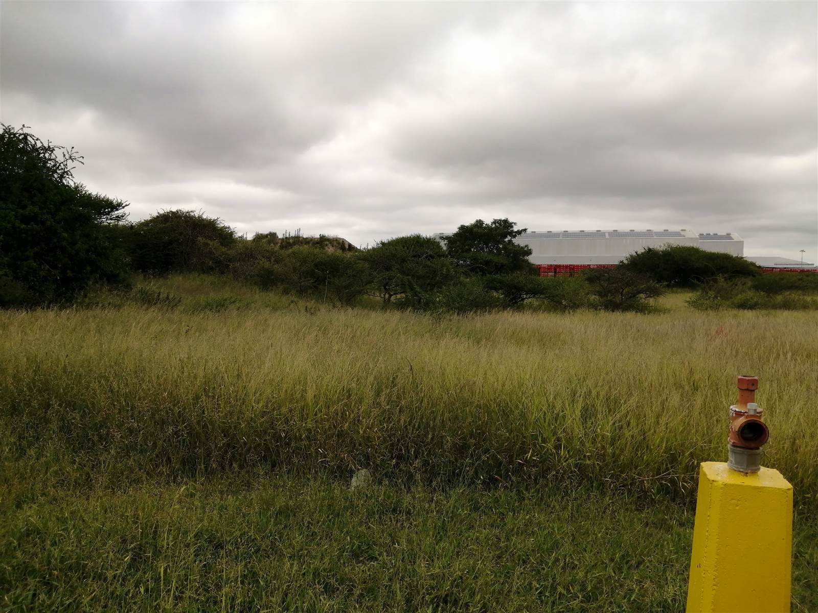 4669 m² Land available in Polokwane Central photo number 4