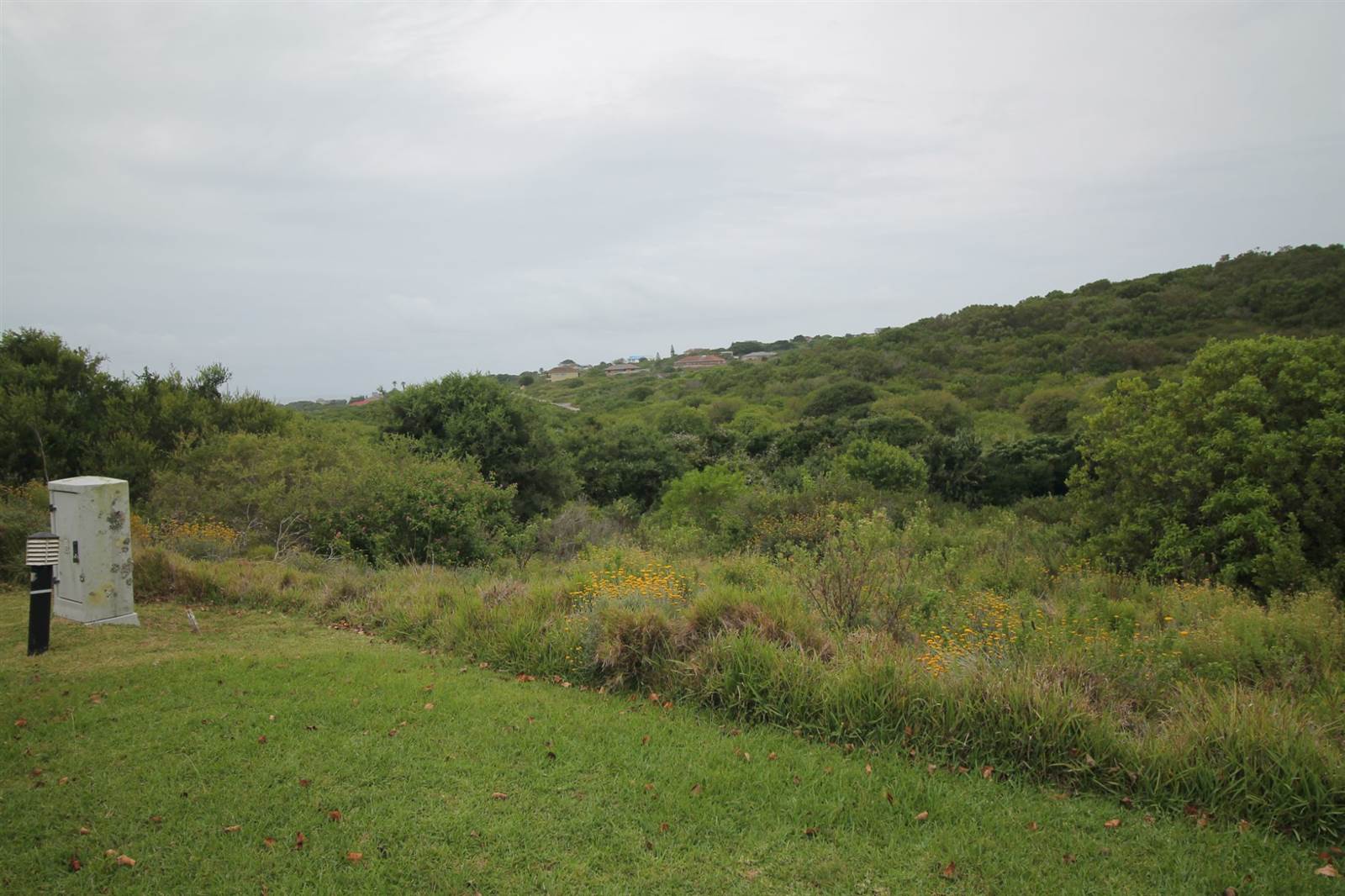 1233 m² Land available in Forest Downs photo number 5