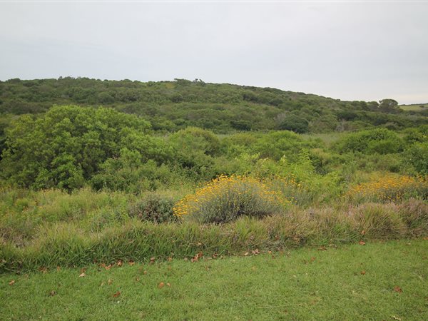 1233 m² Land available in Forest Downs