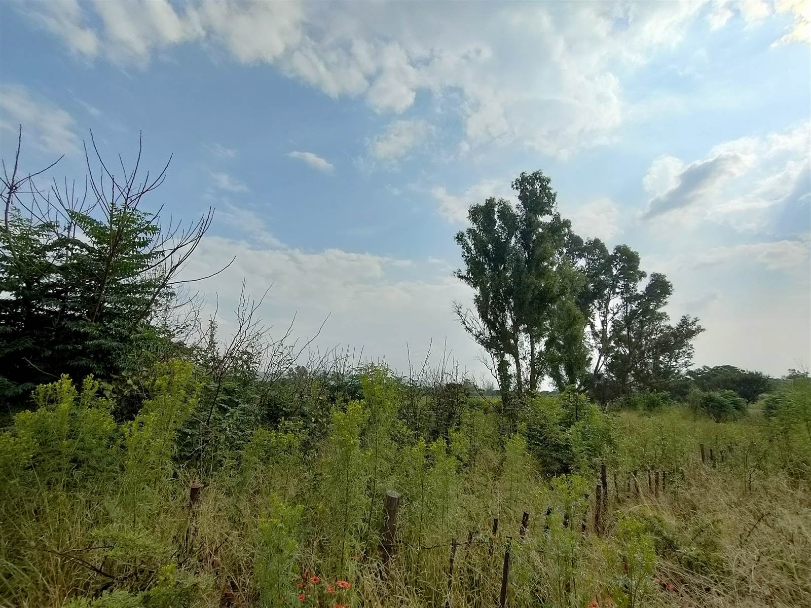 3.5 ha Land available in Hartbeespoort Dam photo number 3