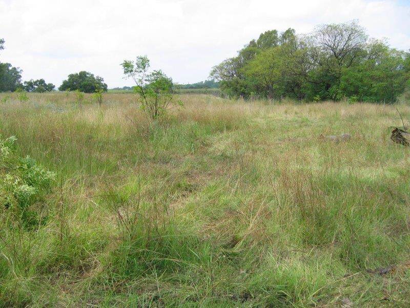 3.5 ha Land available in Hartbeespoort Dam photo number 9
