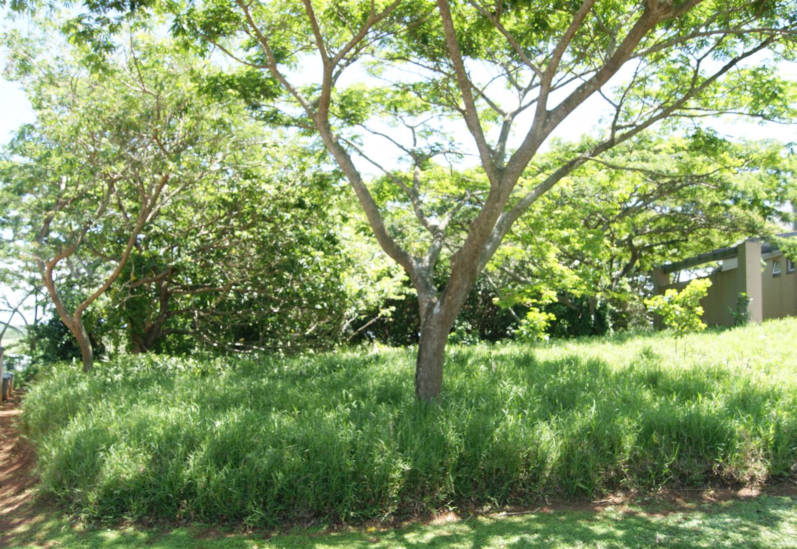 582 m² Land available in Princes Grant Golf Estate photo number 29