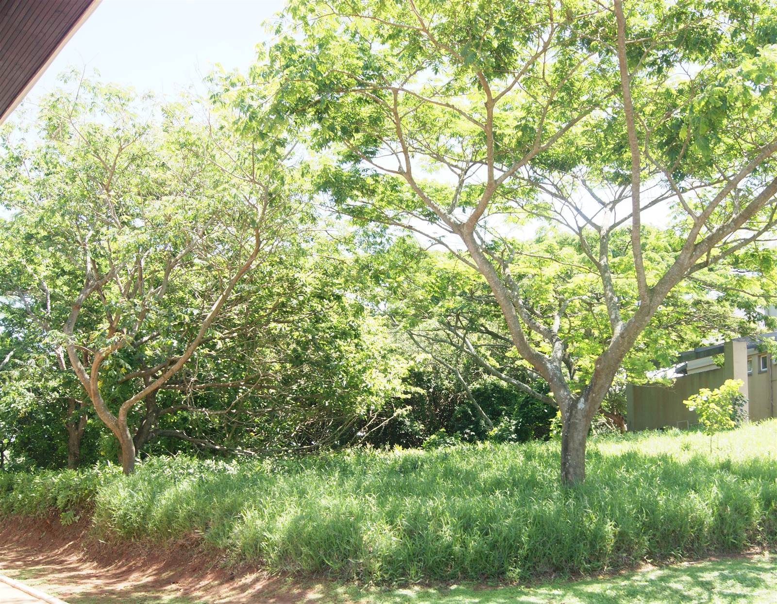582 m² Land available in Princes Grant Golf Estate photo number 5
