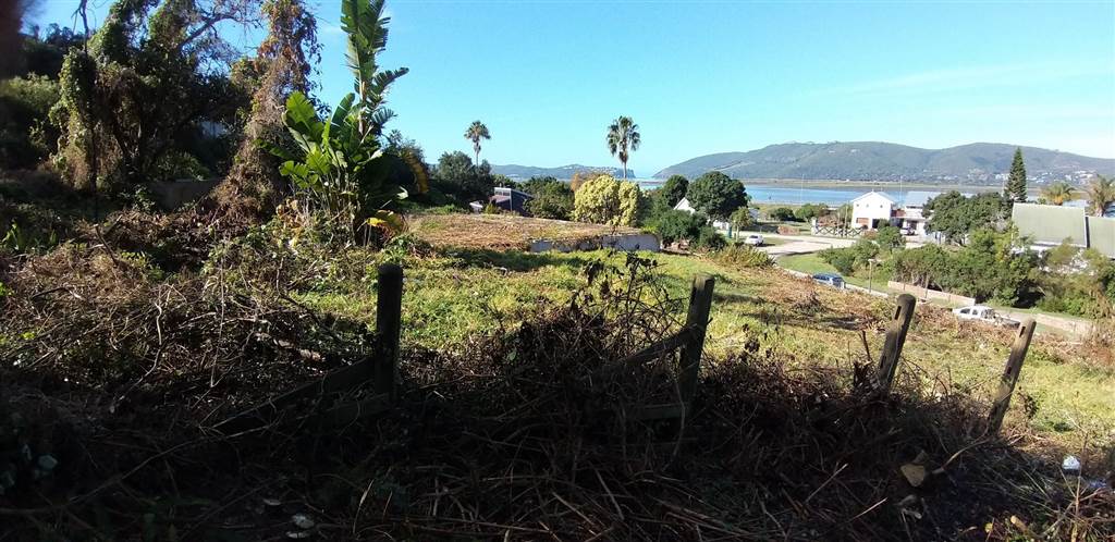3365 m² Land available in Paradise photo number 9