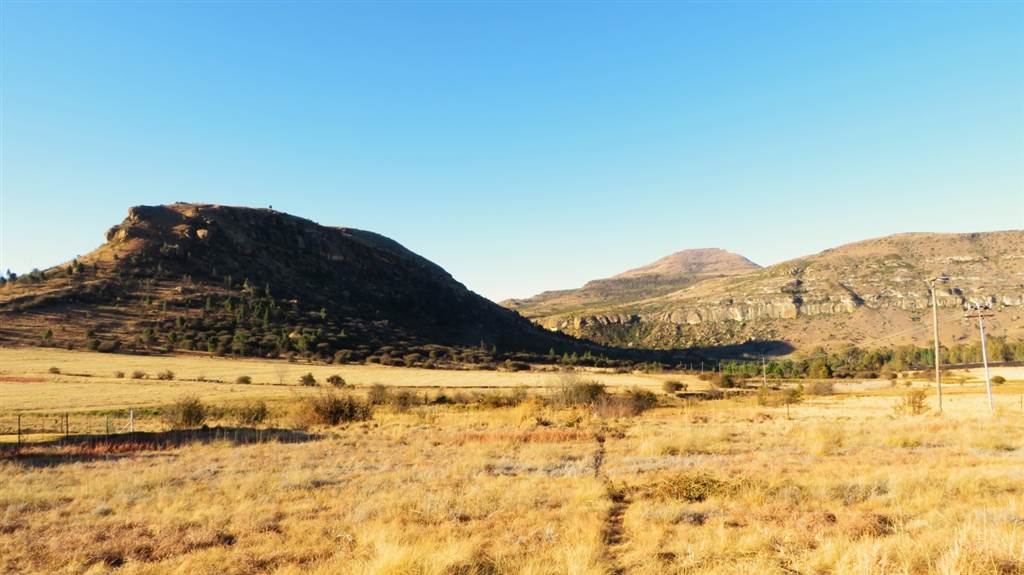 770 m² Land available in Fouriesburg photo number 5