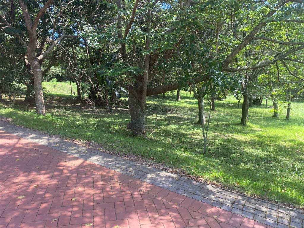 1060 m² Land available in Pennington photo number 4