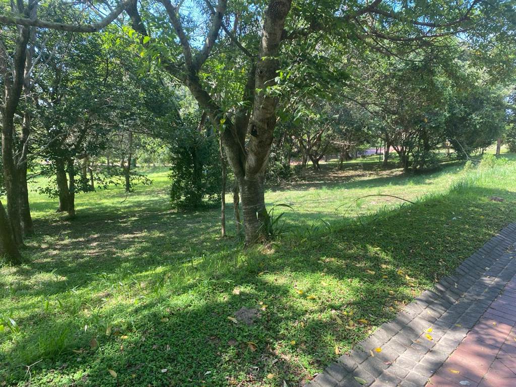 1060 m² Land available in Pennington photo number 8