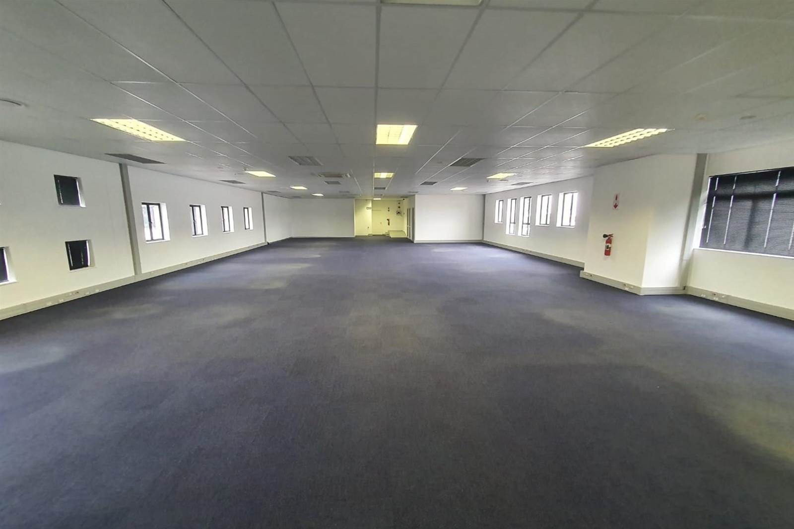 610  m² Commercial space in Newton Park photo number 11