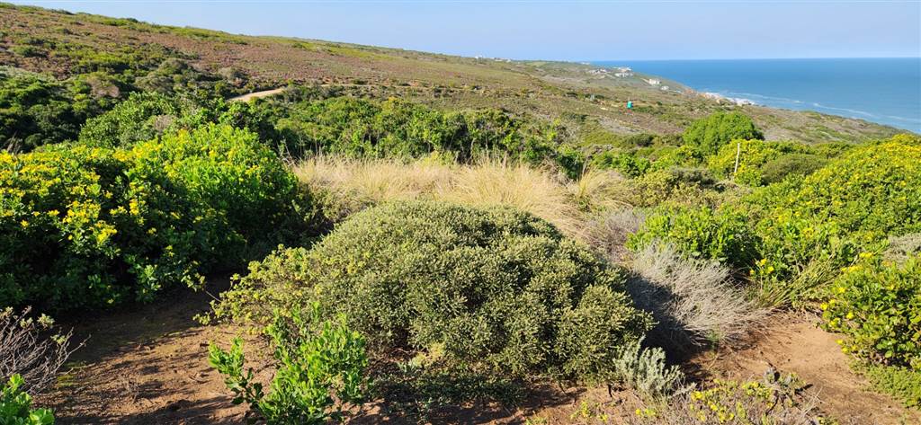 1813 m² Land available in Paradise Beach photo number 5