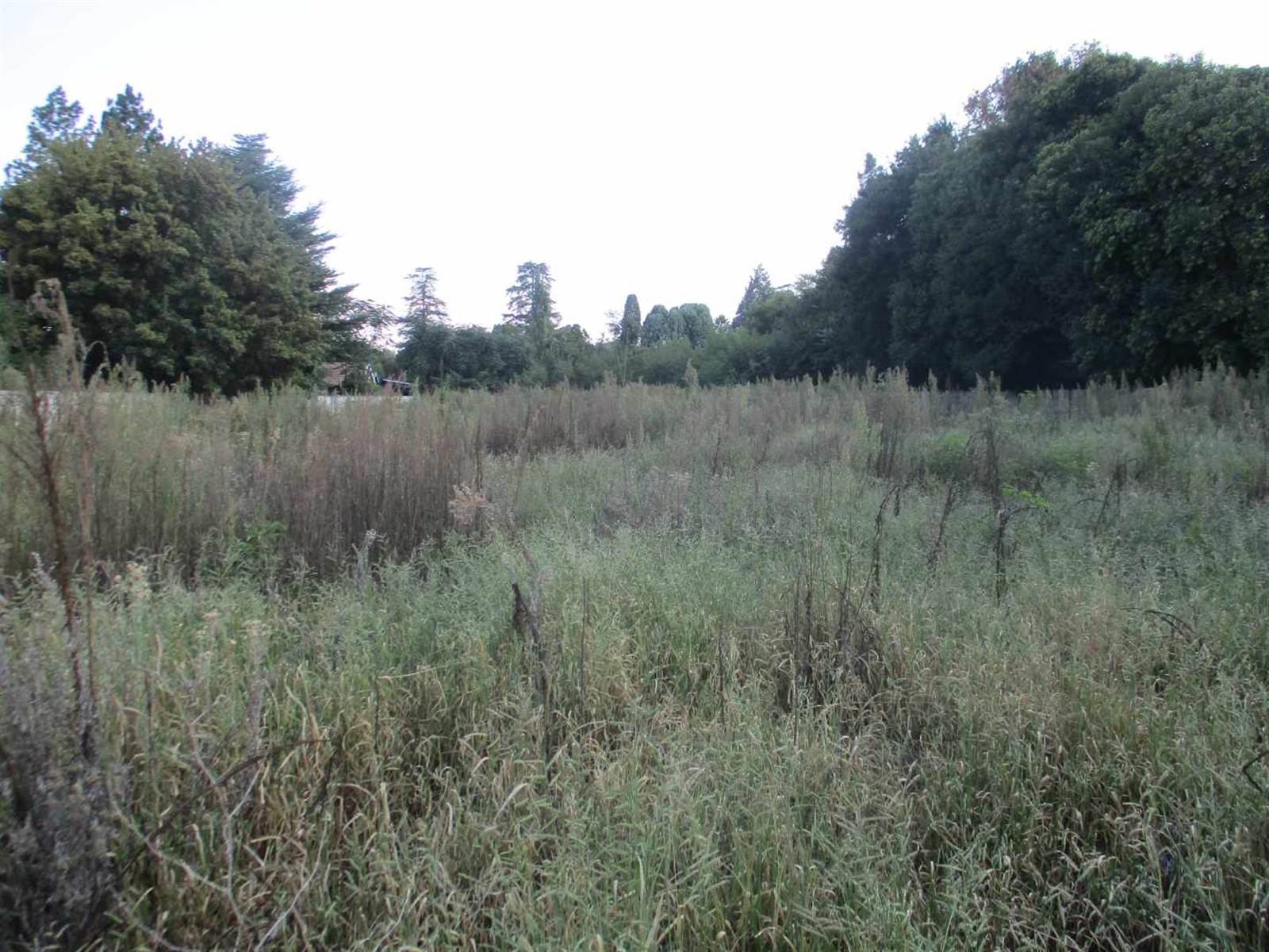 4064 m² Land available in Henley on Klip photo number 3