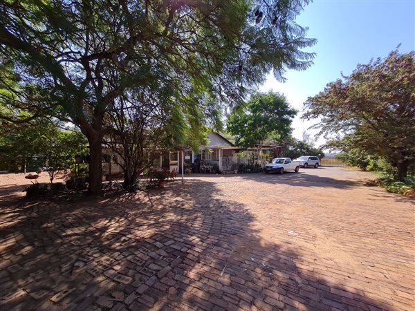 4 Bed House in Ivydale
