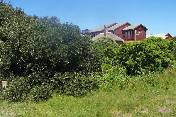 1011 m² Land available in Cannon Rocks photo number 2