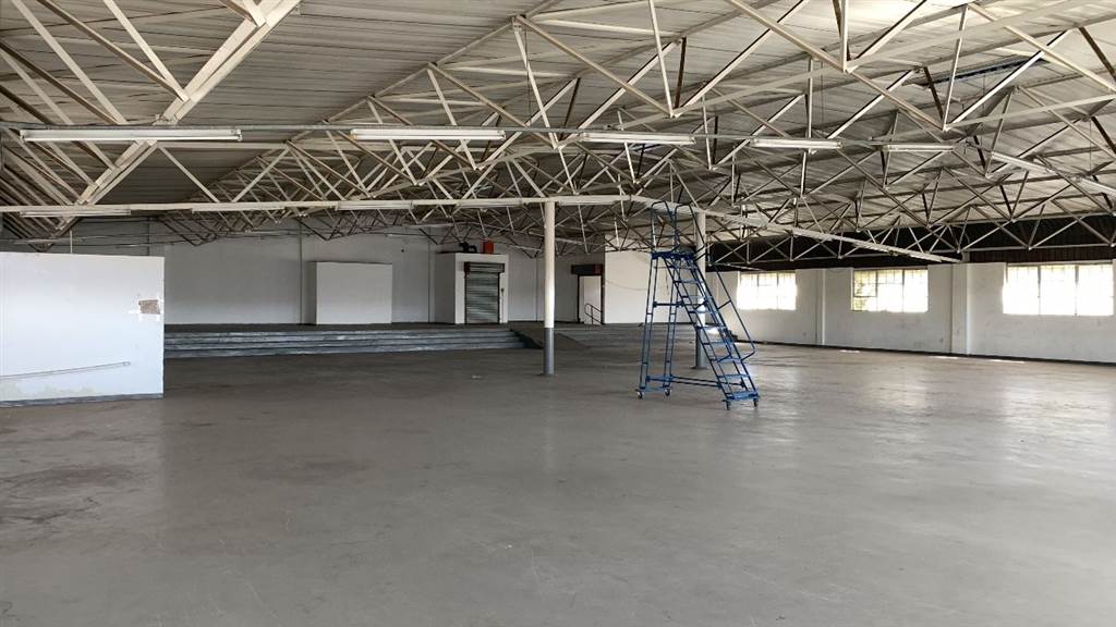 2000  m² Industrial space in Monavoni photo number 6