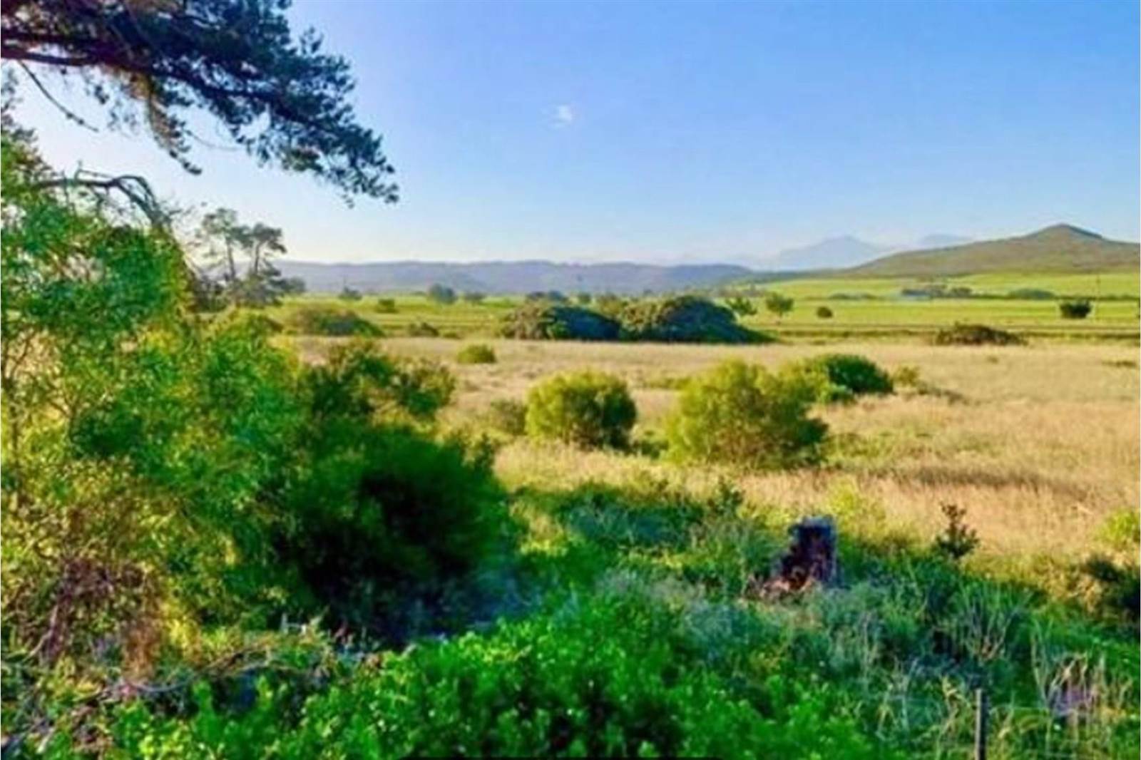 574 m² Land available in Klein Brak River photo number 17