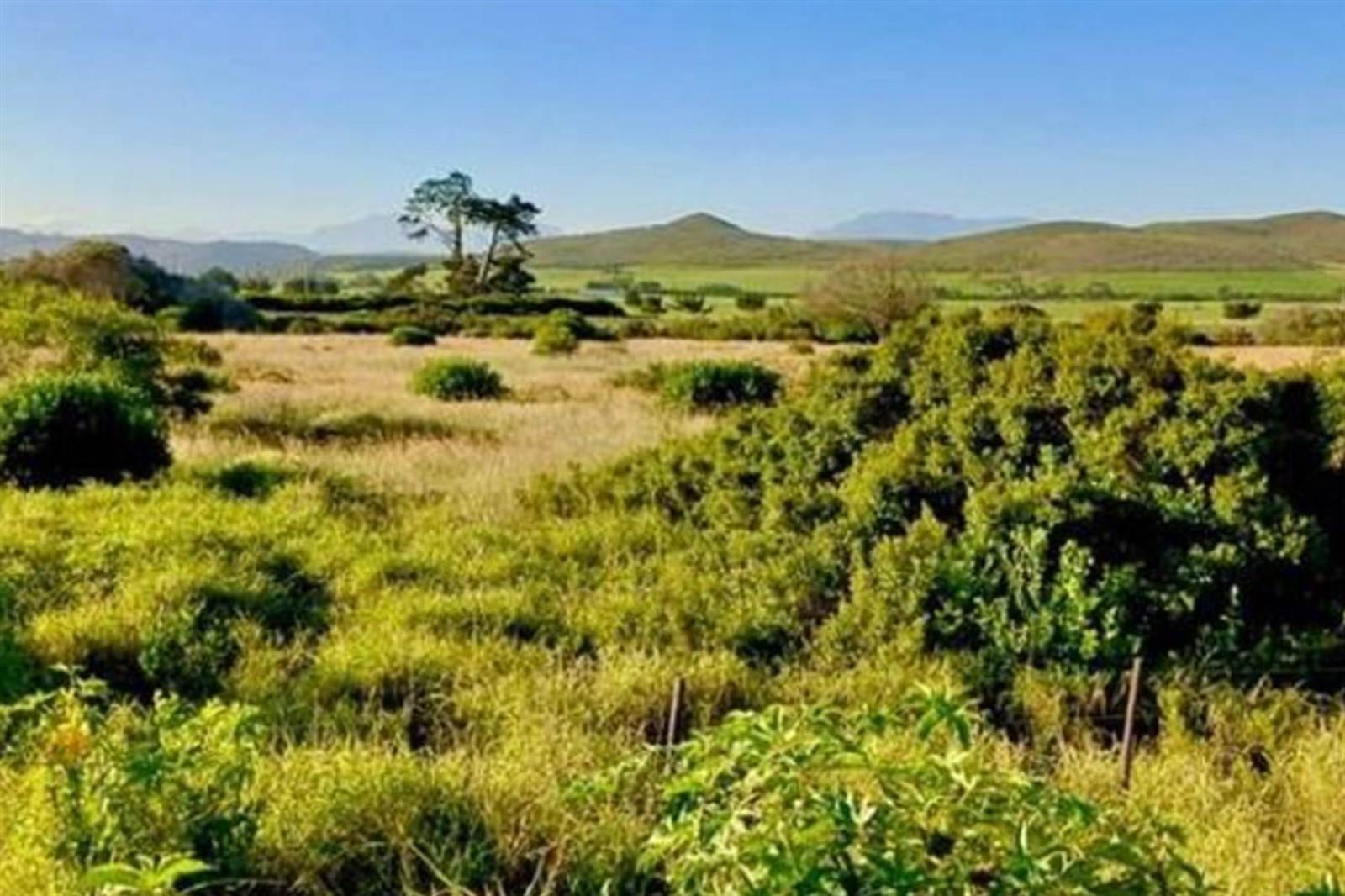 574 m² Land available in Klein Brak River photo number 15