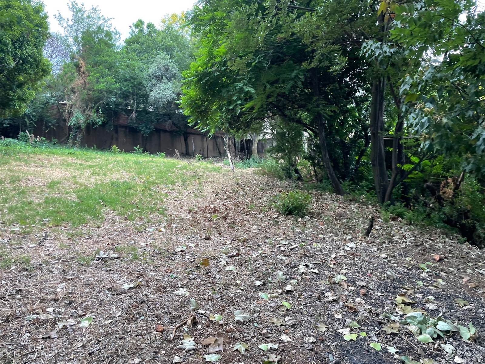1889 m² Land available in Inanda photo number 7