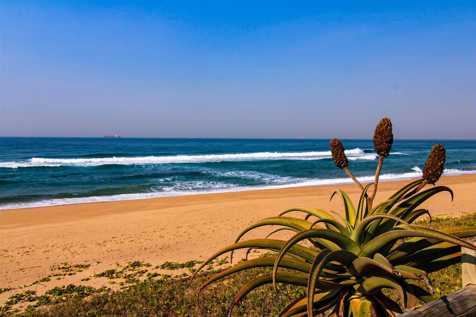 4 Bed Apartment for sale in Umdloti T4046653 Private Property