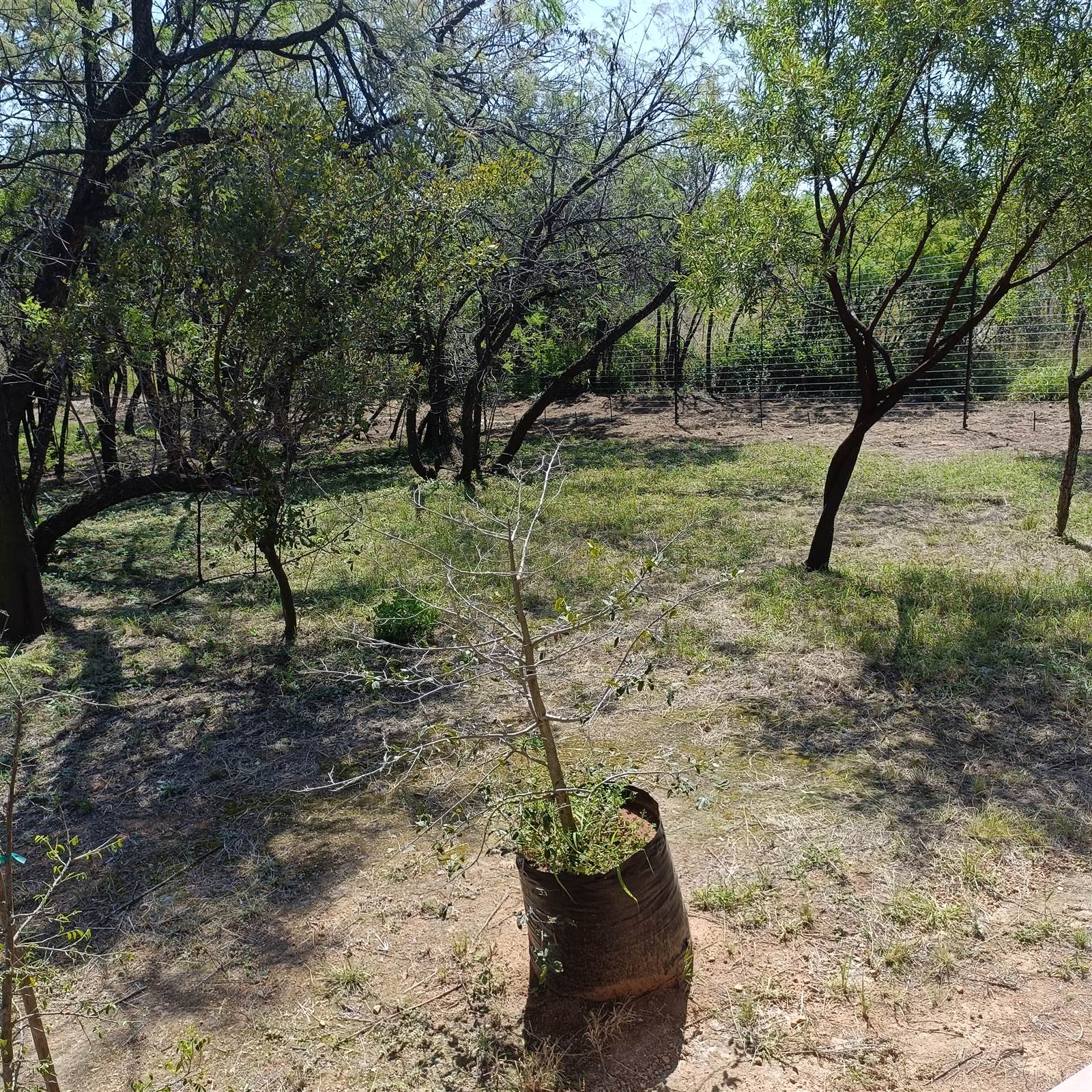 4.5 ha Land available in Cullinan and Surrounds photo number 19