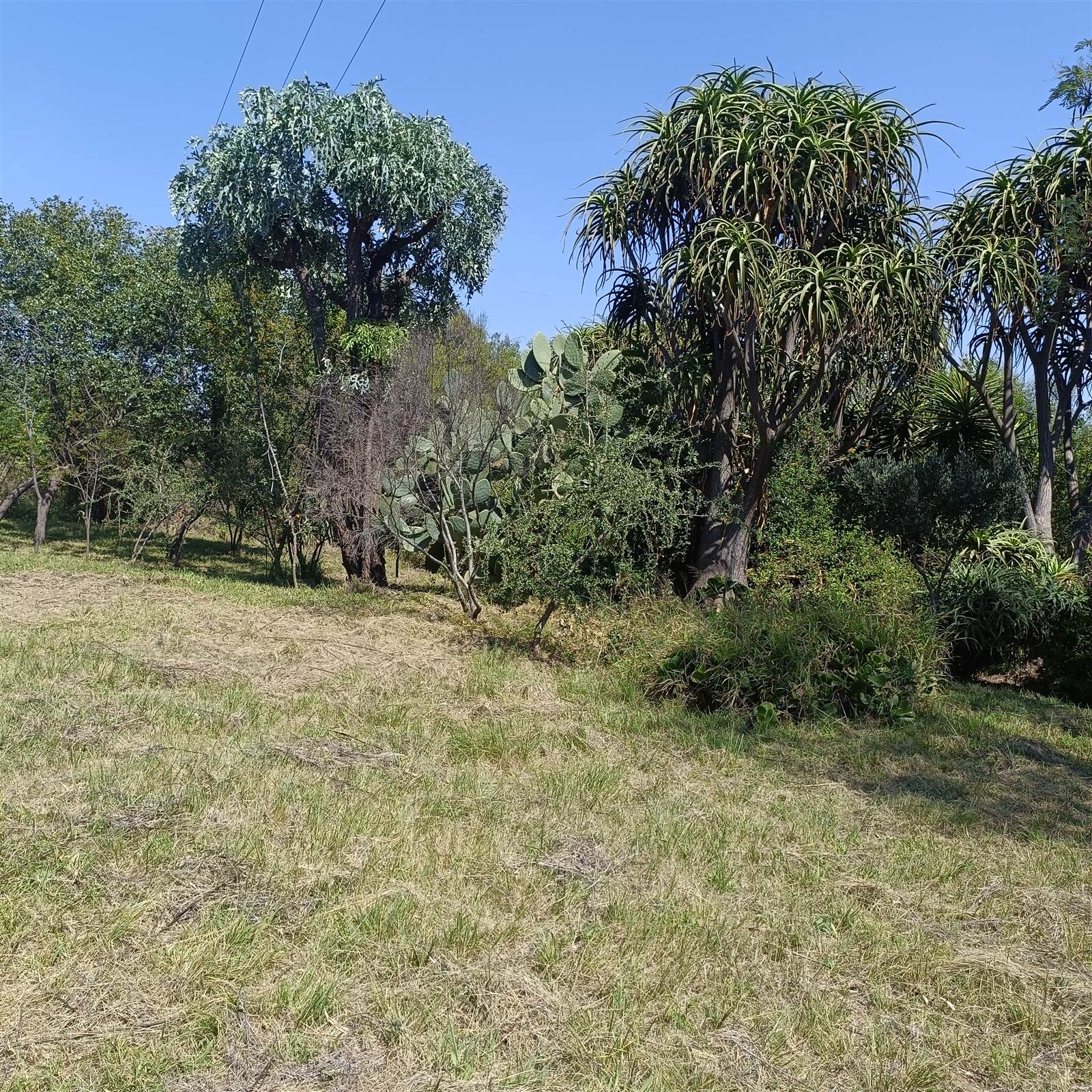 4.5 ha Land available in Cullinan and Surrounds photo number 25